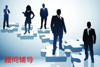 顾问辅导