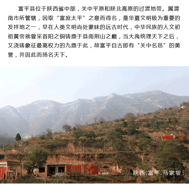 富平霜降柿饼网络营销