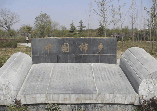 富平霜降柿饼网络营销