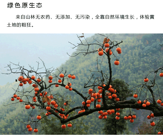 富平霜降柿饼网络营销