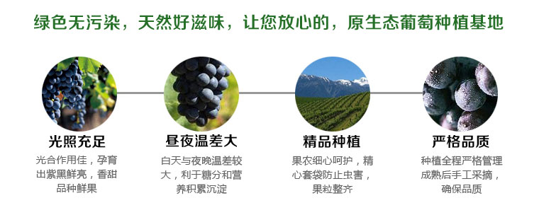 户太八号葡萄淘宝众筹