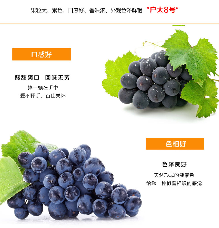 户太八号葡萄淘宝众筹