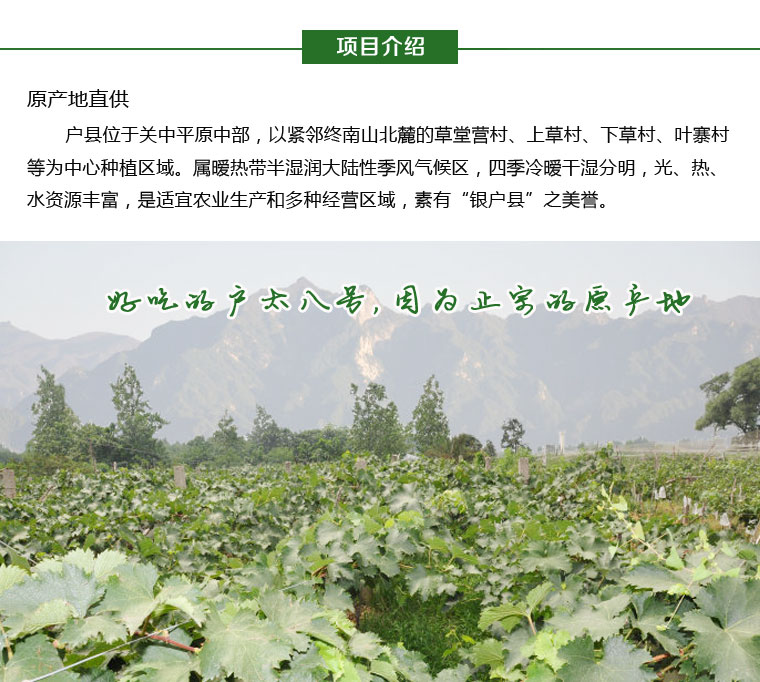 户太八号葡萄淘宝众筹