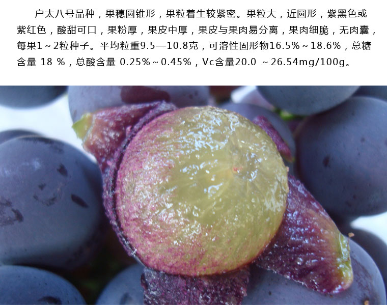 户太八号葡萄淘宝众筹