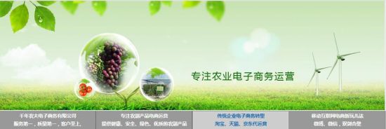 千年农夫茶叶淘宝店铺运营