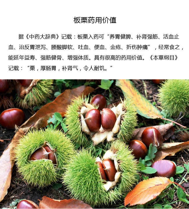 地方农特产镇安板栗网络营销