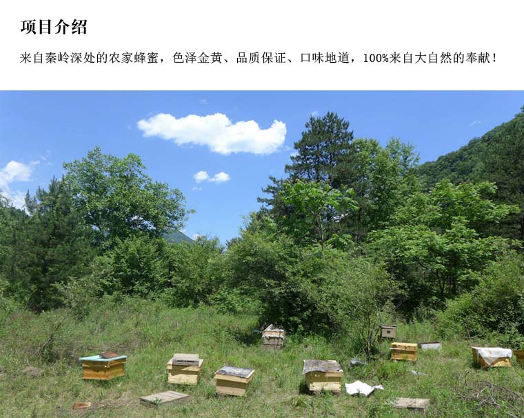 秦岭天然蜂蜜网络营销