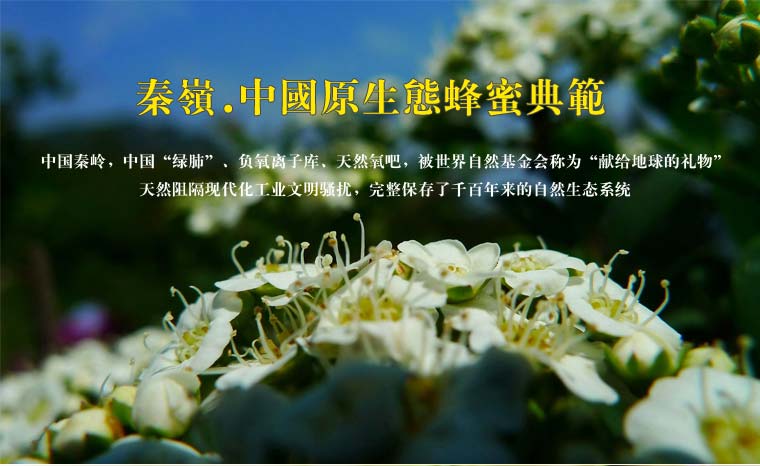 秦岭天然蜂蜜网络营销