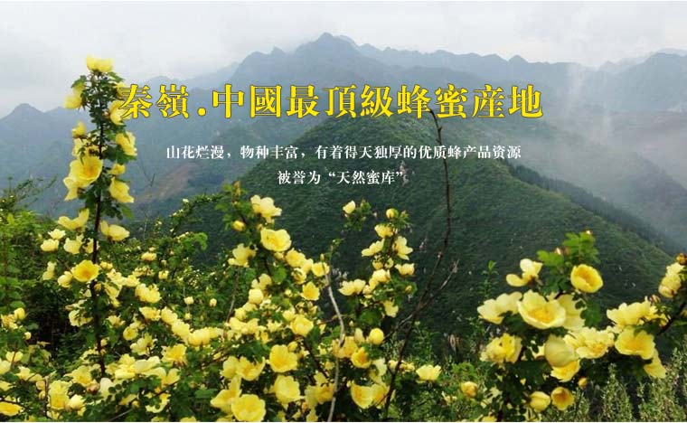秦岭天然蜂蜜网络营销