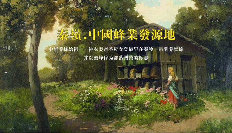 秦岭天然蜂蜜网络营销