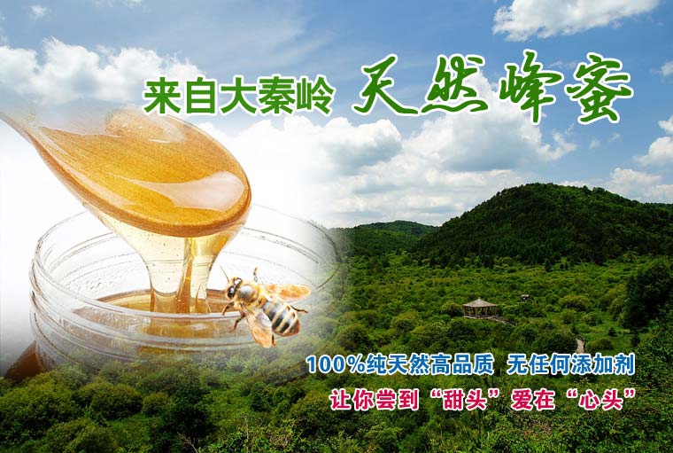 秦岭天然蜂蜜网络营销