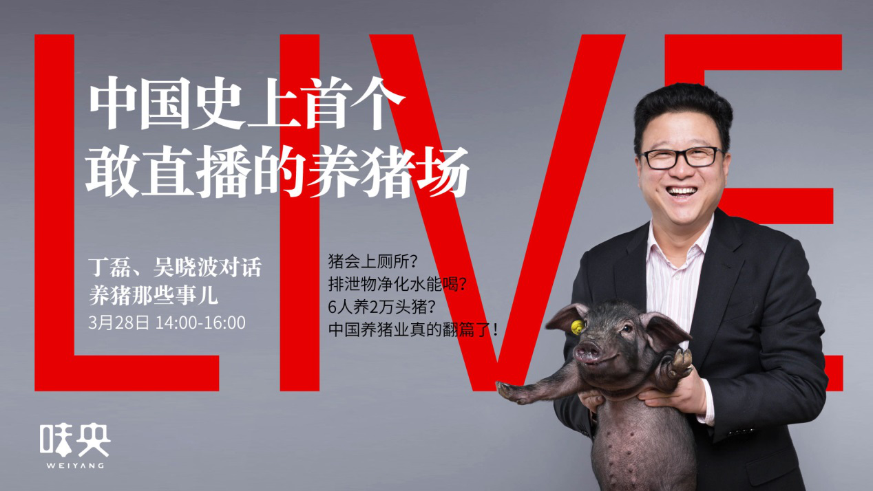 网易味央养殖模式被推崇 中国养猪业进入网易时