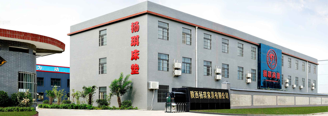 陕西杨琪家具有限公司网络营销