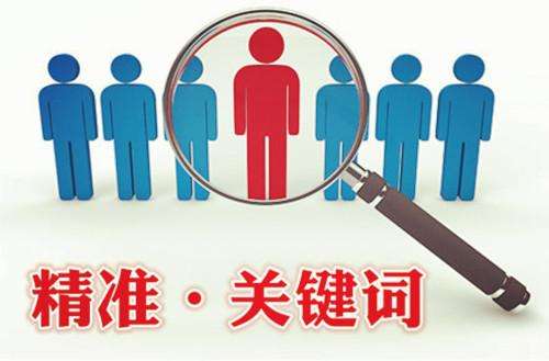 SEO快排服务:快速上首页的背后 第一张