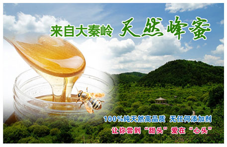 秦岭天然蜂蜜网络营销