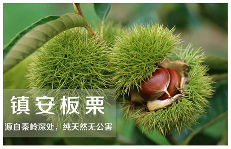 地方农特产镇安板栗网络营销