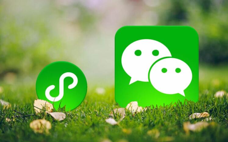 面对“疯长”的小程序,企业还要做网站吗