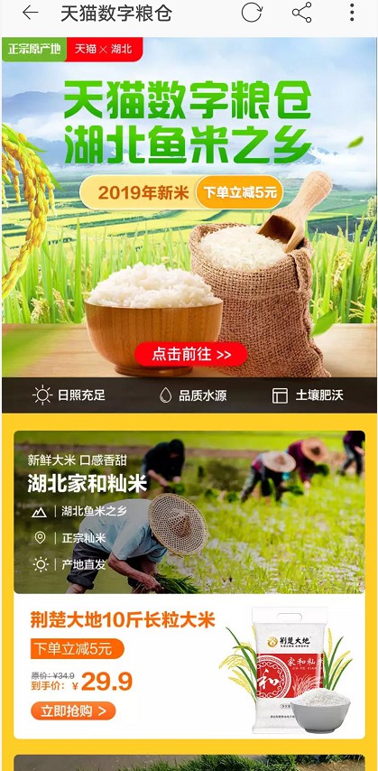 阿里推出“数字粮仓”计划 数字农业迎发展春天_零售_电商报 阿里推出“数字粮仓”计划 数字农业迎发展春天